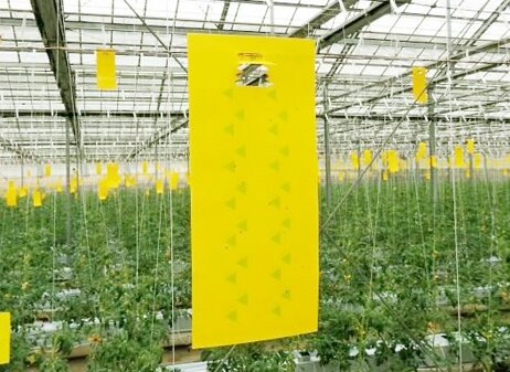 農業用捕虫シート